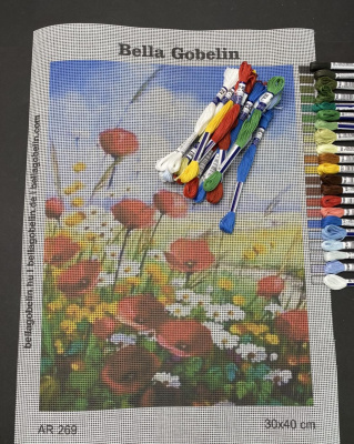 Poppies in the spring meadow