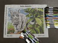 Naughty little kitten